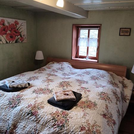 Oekologische Ferienwohnung Becker Kottmar 外观 照片