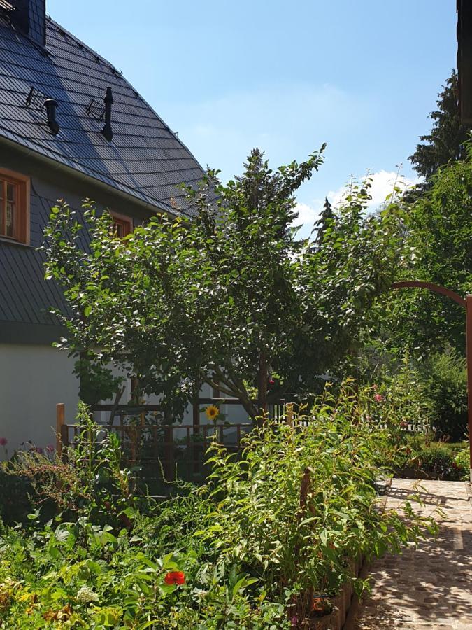 Oekologische Ferienwohnung Becker Kottmar 外观 照片